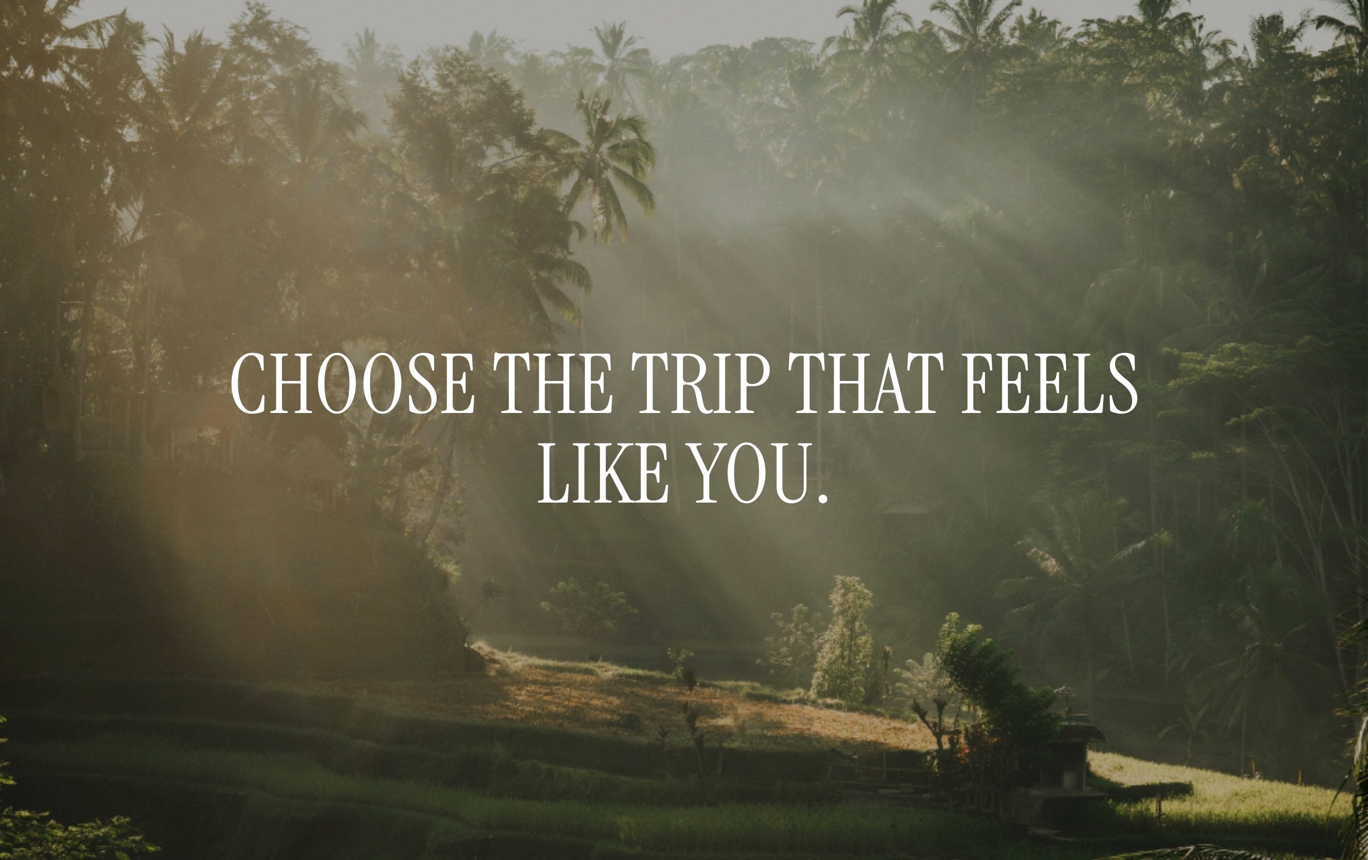 Atma Haus designs all collections page banner featuring tropical jungle landscape in ubud bali indonesia with soft sun rays and the text “Choose the Trip That Feels Like You.”