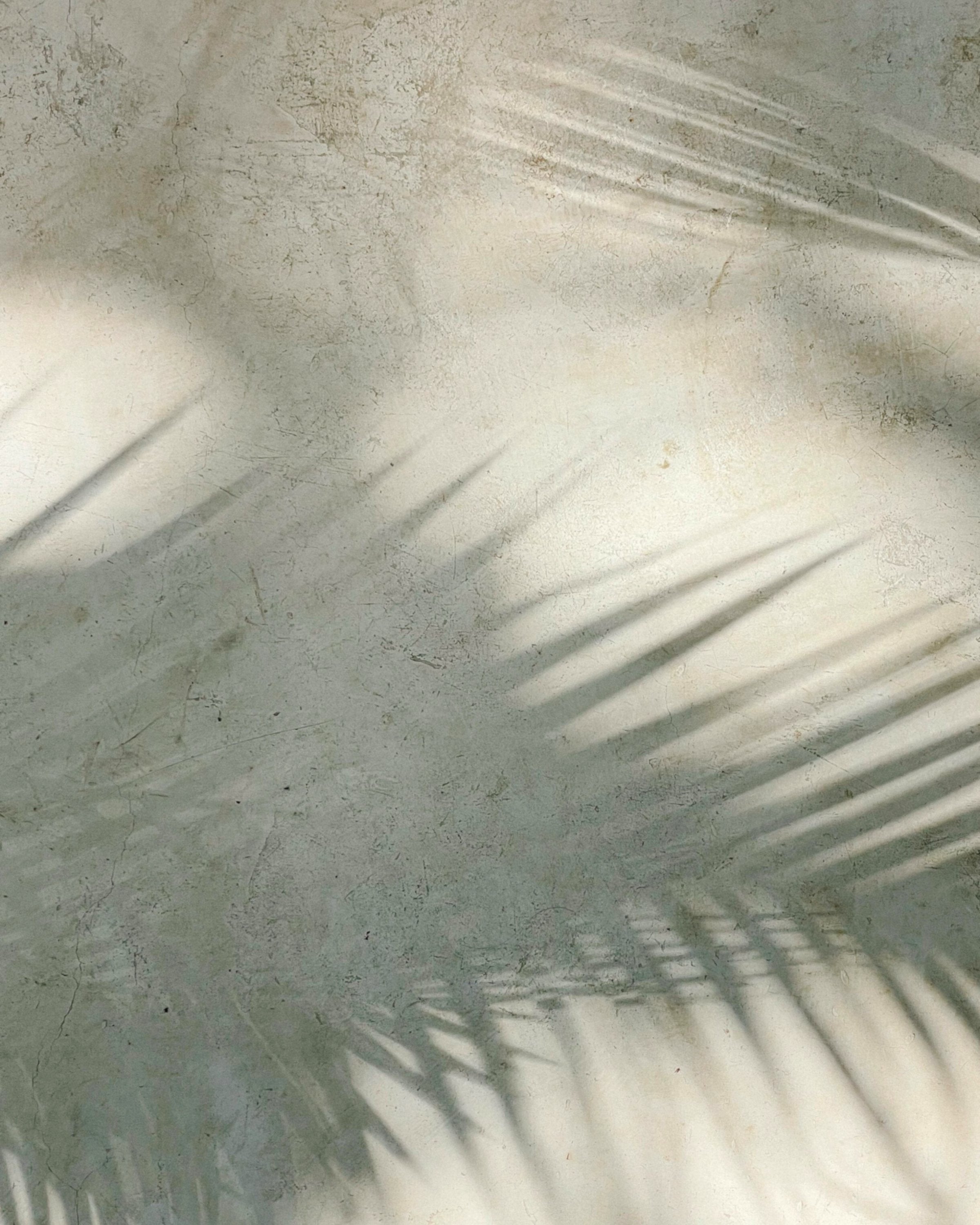 Sunlit textured wall with tropical palm shadows, luxury girls trip travel aesthetic background