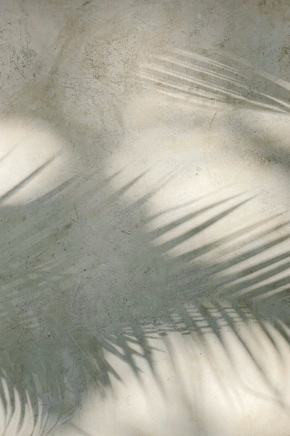 Tropical palm shadow background with sunlit neutral texture, luxury girls trip travel brand aesthetic